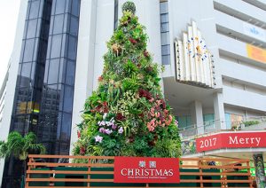 ボタニカルツリーが彩る、「樂園CHRISTMAS」のアイキャッチ画像